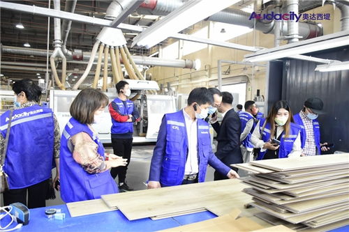 奧達西堤石晶地板招商及培訓會盛大啟幕 攜手共創健康人居新未來