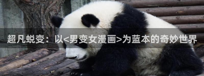 汗汗漫畫韓國(guó)首頁(yè)