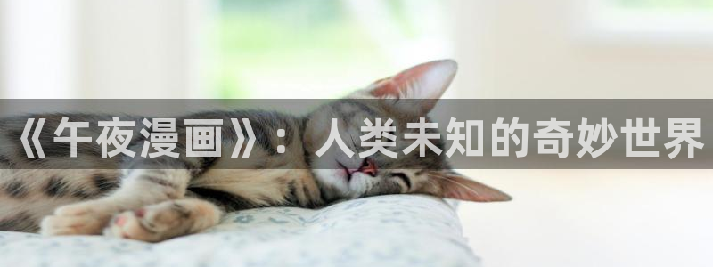 汗汗漫畫網頁入口
